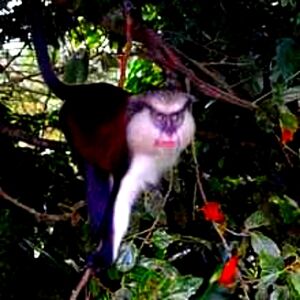 Meet your Posher, Marvin